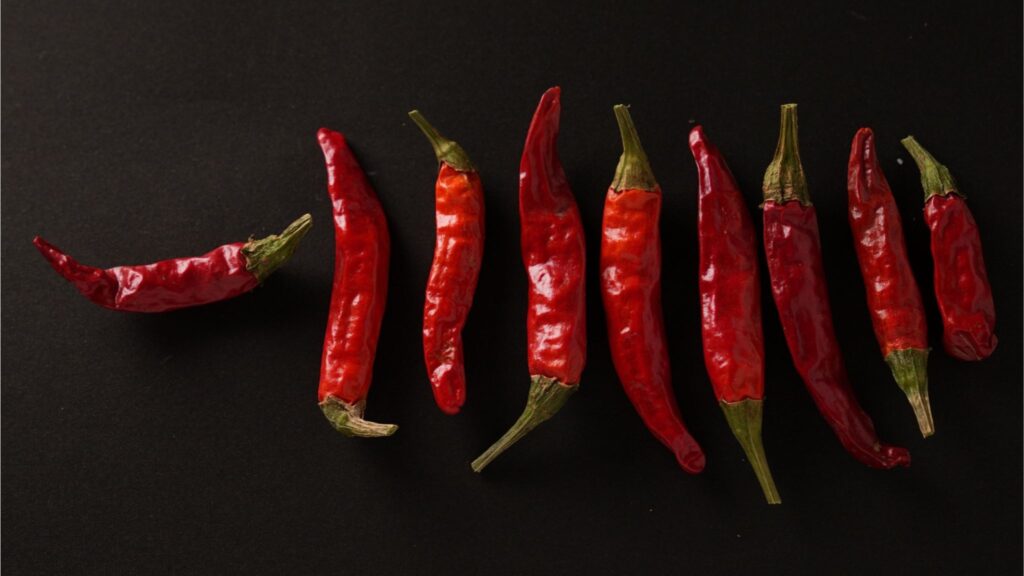 内藤とうがらし