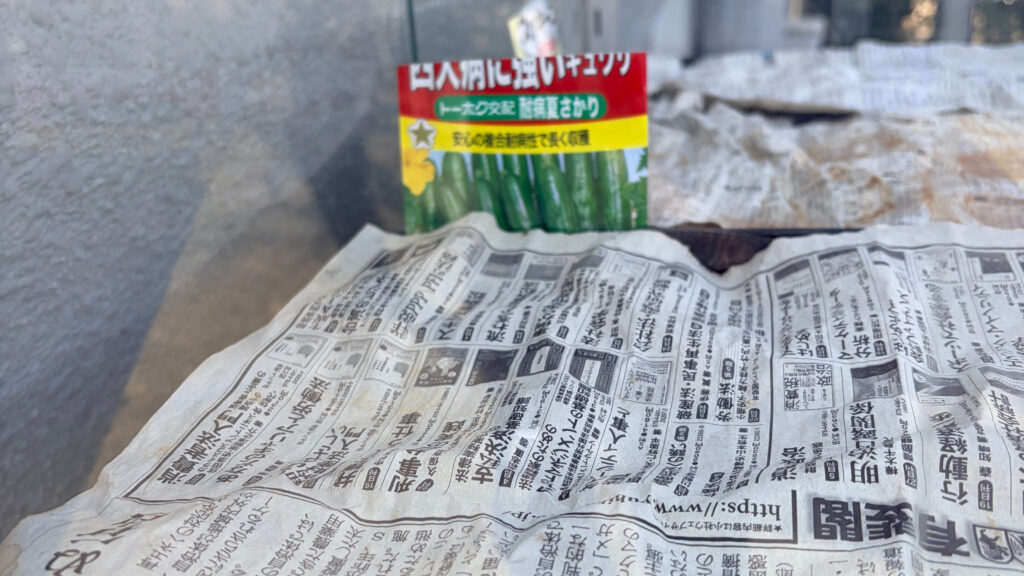 きゅうりの苗床