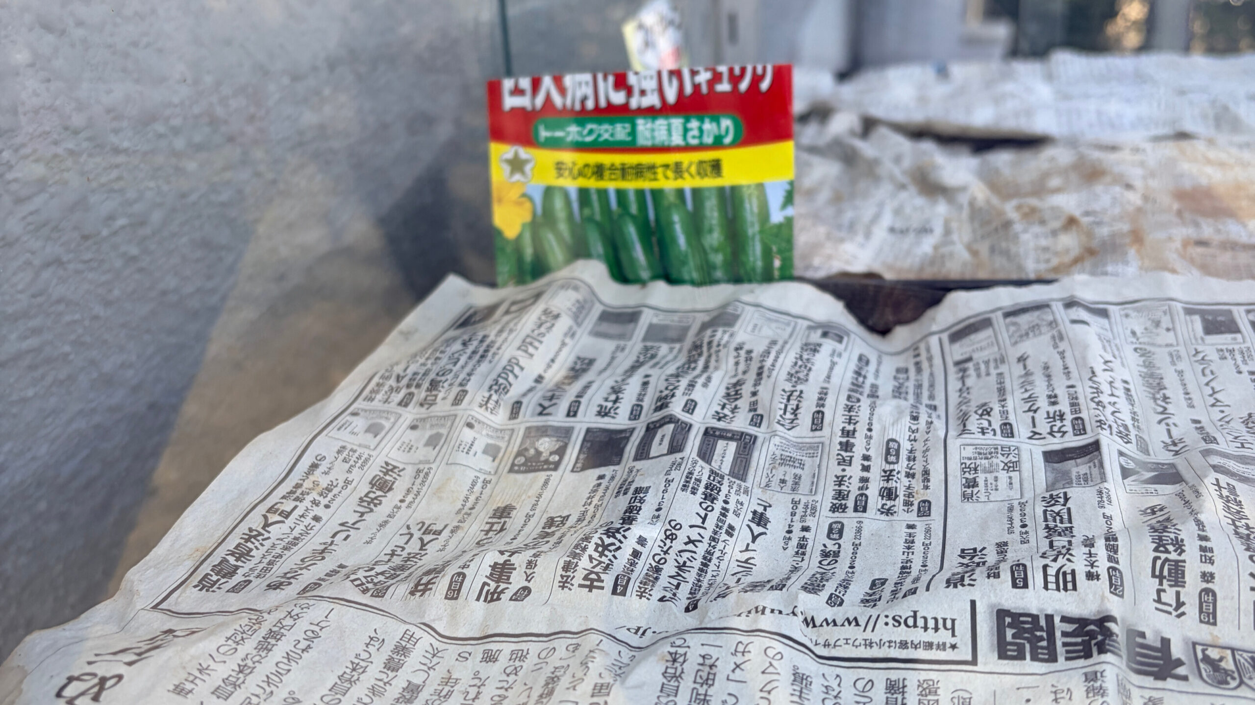 きゅうりの苗床